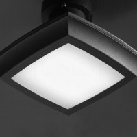 morphis | ceiling lamps