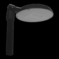rhea p 24