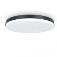 lilibet surface luminaire 920mm
