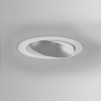 dark night turn xs r